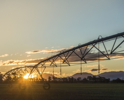 BCI and AFIC Farmers lead in Environmental performance