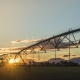 BCI and AFIC Farmers lead in Environmental performance